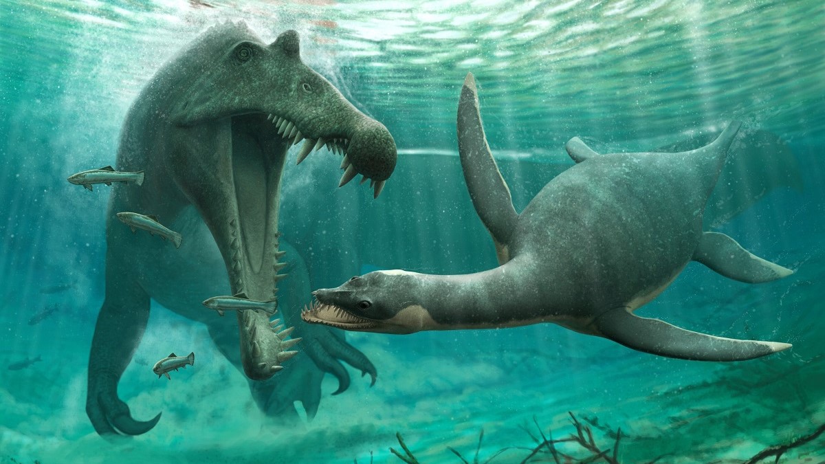 Plesiosaur fossil found in Morocco lived in freshwater