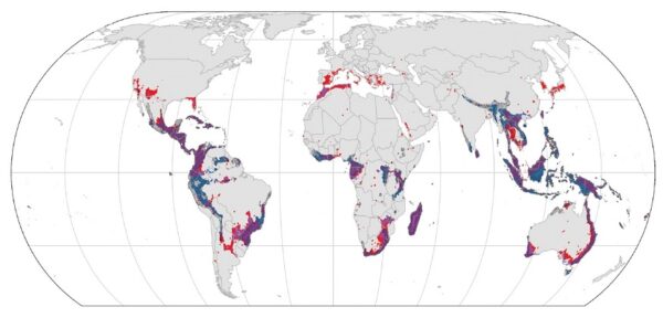 Sampled and predicted global ant distribution
