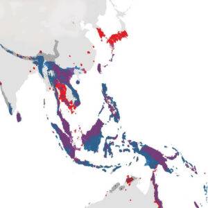 Map of ant biodiversity across asia