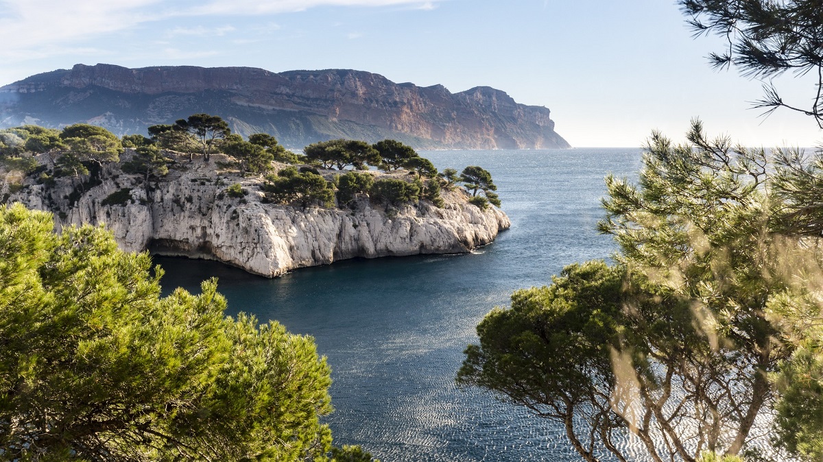 mediterranean-and-pine-trees