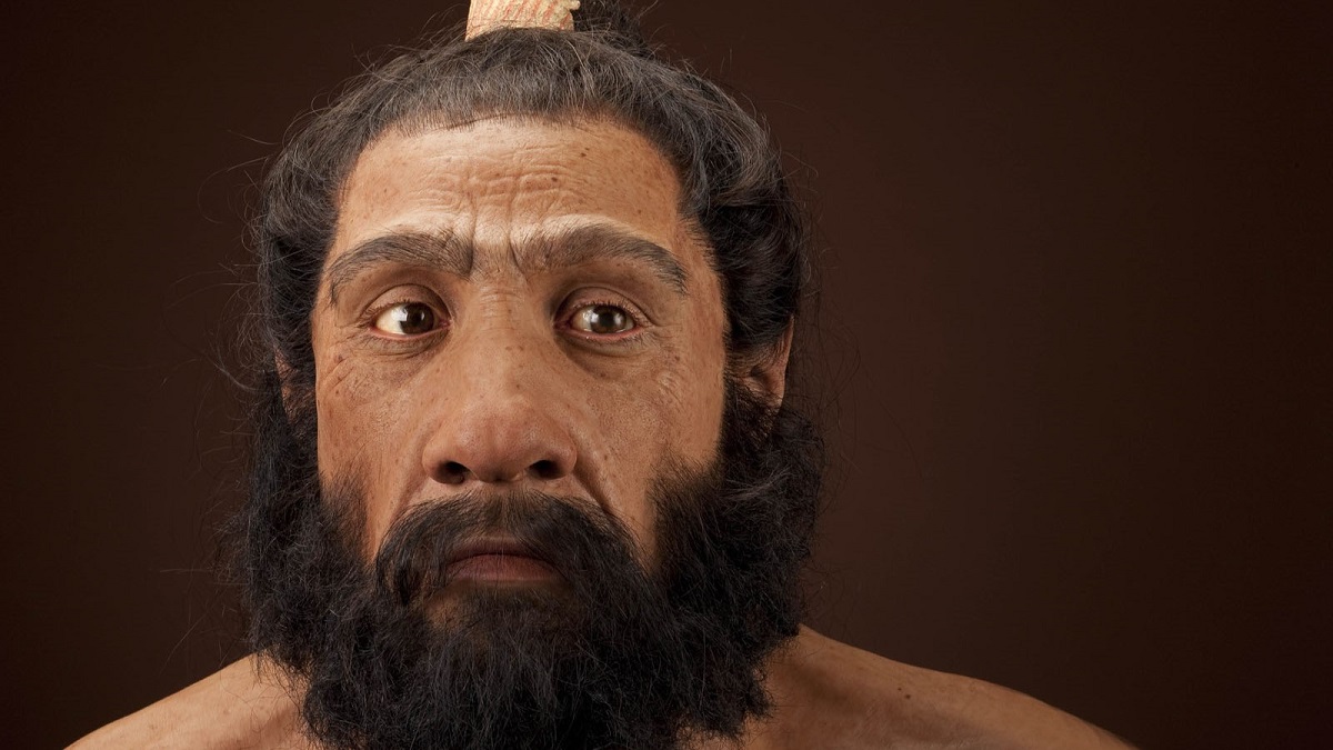 neanderthal-reconstruction