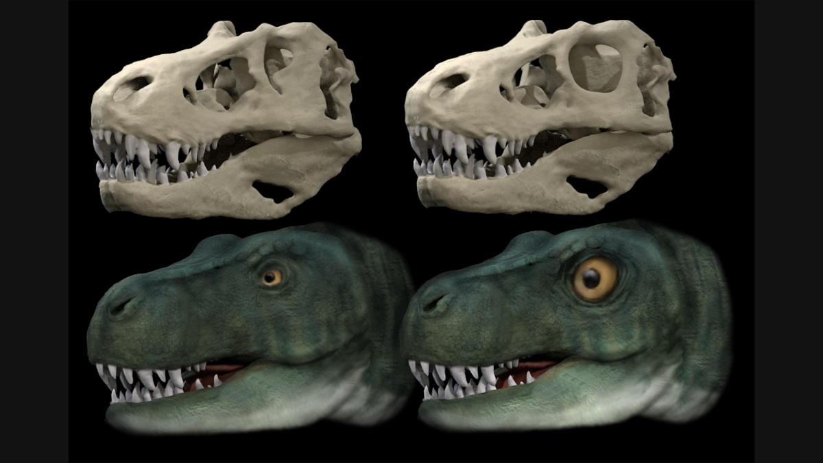 t-rex-eyes-models
