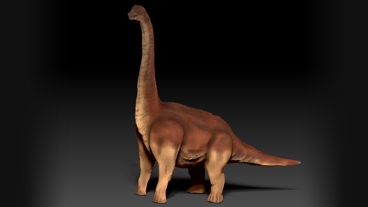 3d-reconstruction-sauropod-feet