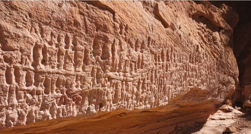 Wall of rock art at marra wonga showing many animal track-like shapes carved vertically into the wall