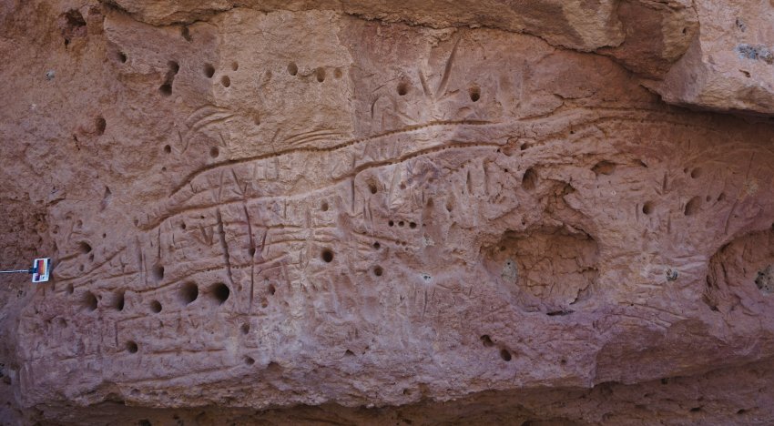 Long snake-like design carved into marra wonga rock art