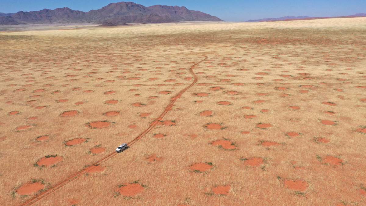 Namibian fairy circle mystery solved - perhaps