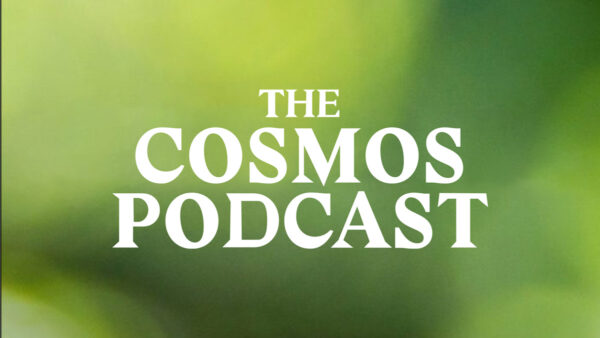 The Cosmos Podcast