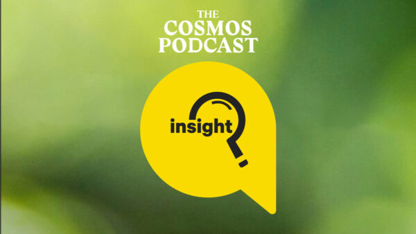 The Cosmos Podcast: Insight