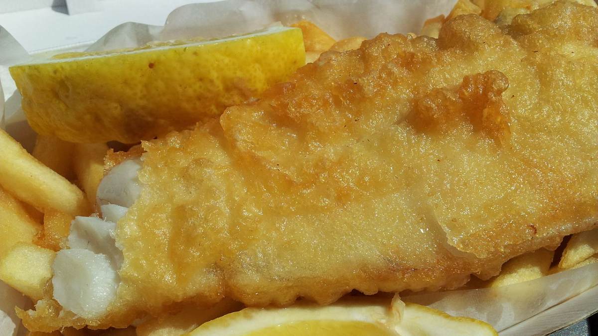 Most flake served in the humble fish and chip shop is mislabelled (and  might even be endangered)