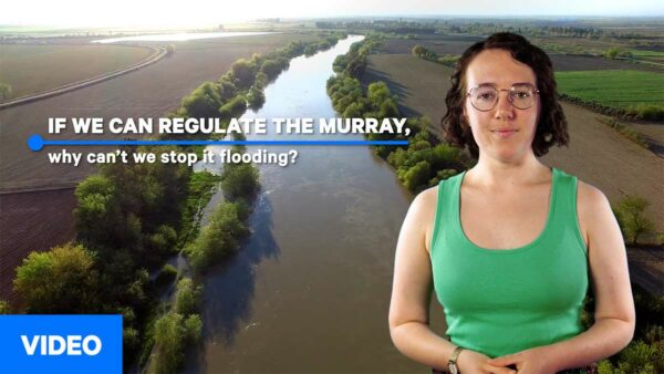 video thumbnail showing: if we can regulate the murray, why can't we stop it flooding?