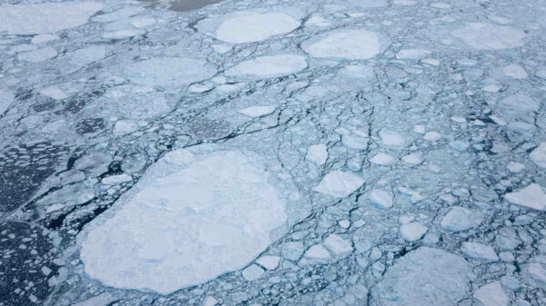 view-of-sea-ice-from-above