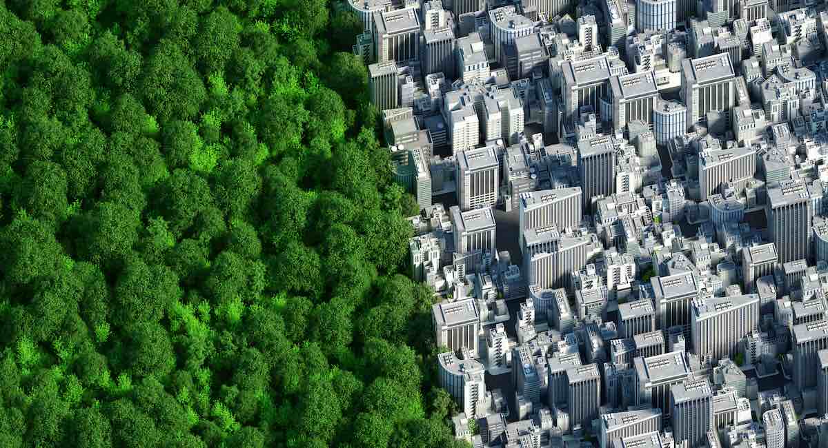 More evidence planting trees in cities can save lives