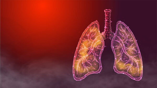 lungs smoke