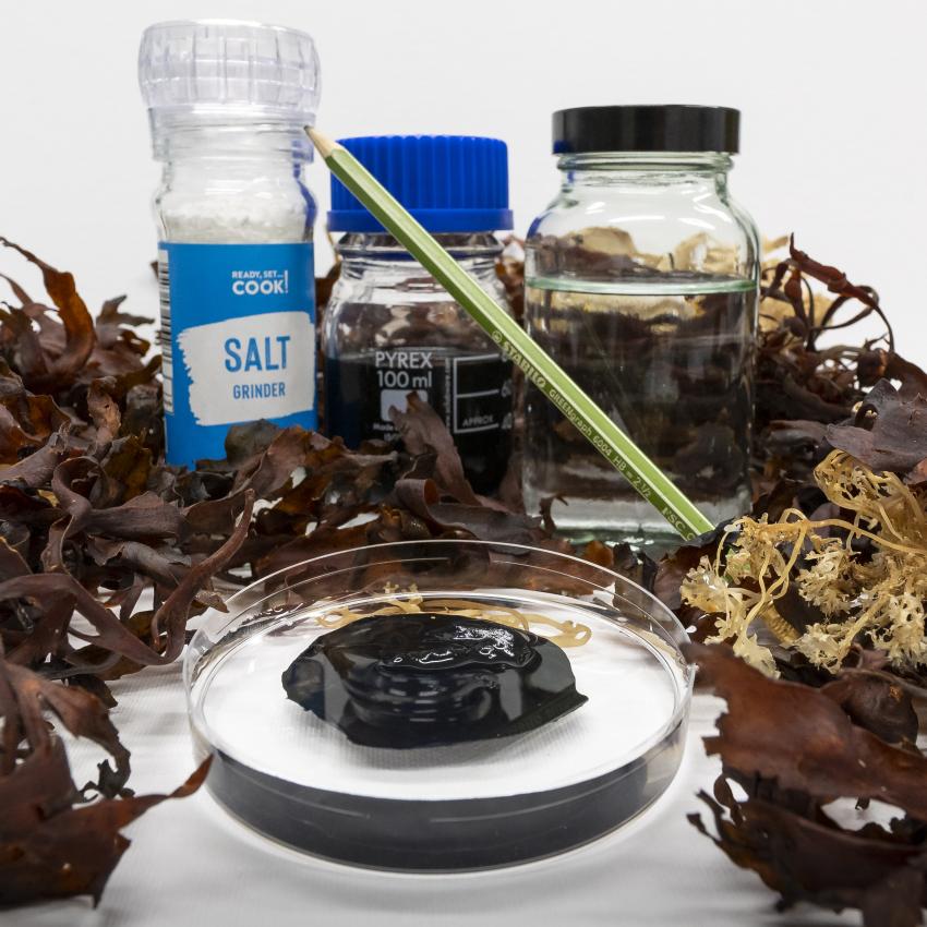 salt shaker, jars of water, graphite pencil, seaweed and black hydrogel in petri dish