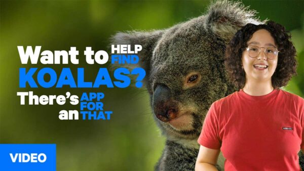 CosmosBriefing KoalaAPP WEB