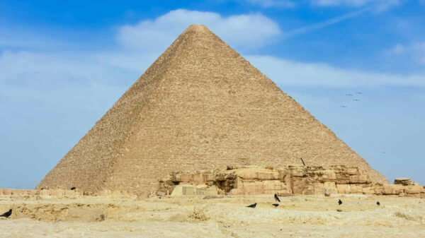 shot-of-great-pyramid-of-giza-against-blue-sky-crows-in-foreground