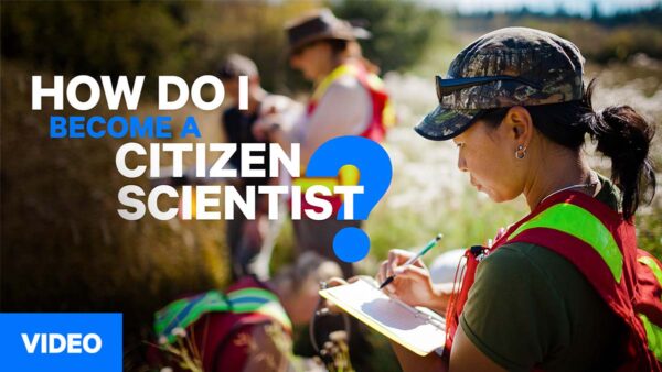 CosmosBriefing CitizenScientist WEB