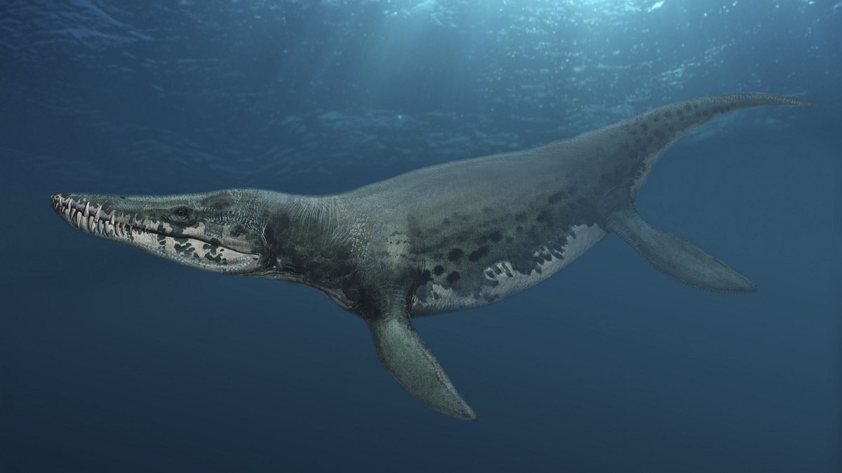Jurassic marine reptile size debate reignited by fossils