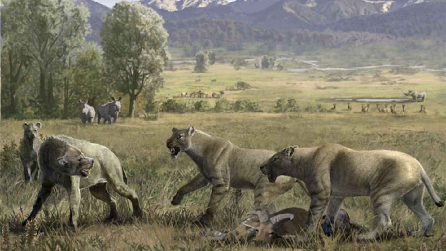 New prehistoric sabre-toothed cat discovered in China