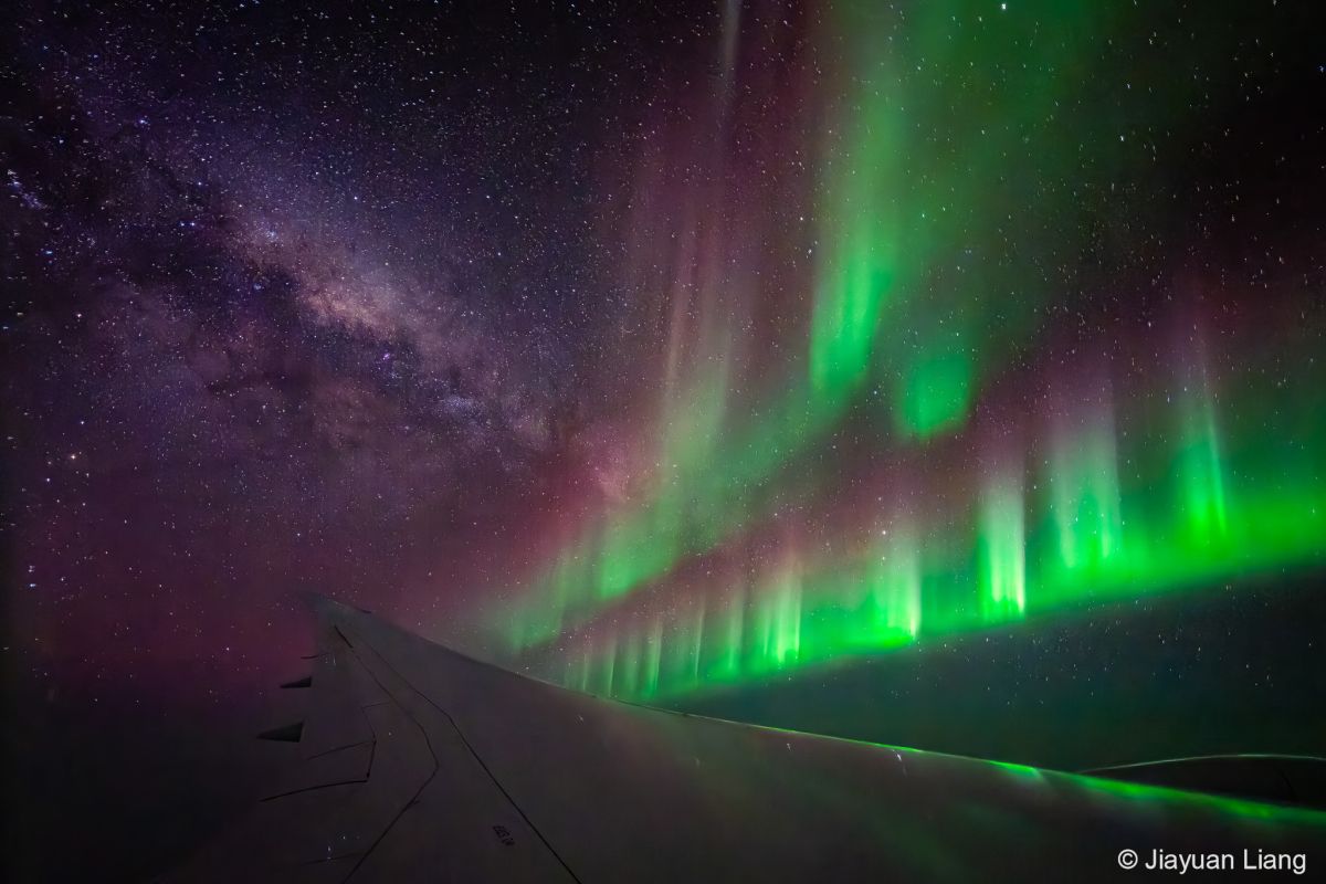 Dazzling displays from the Australian Geographic Nature Photographer of the Year