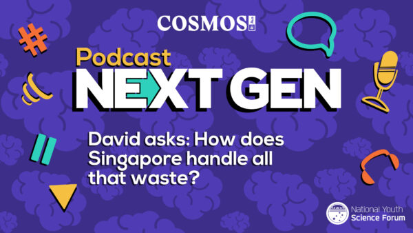 PodcastNextGen 16x9 David image