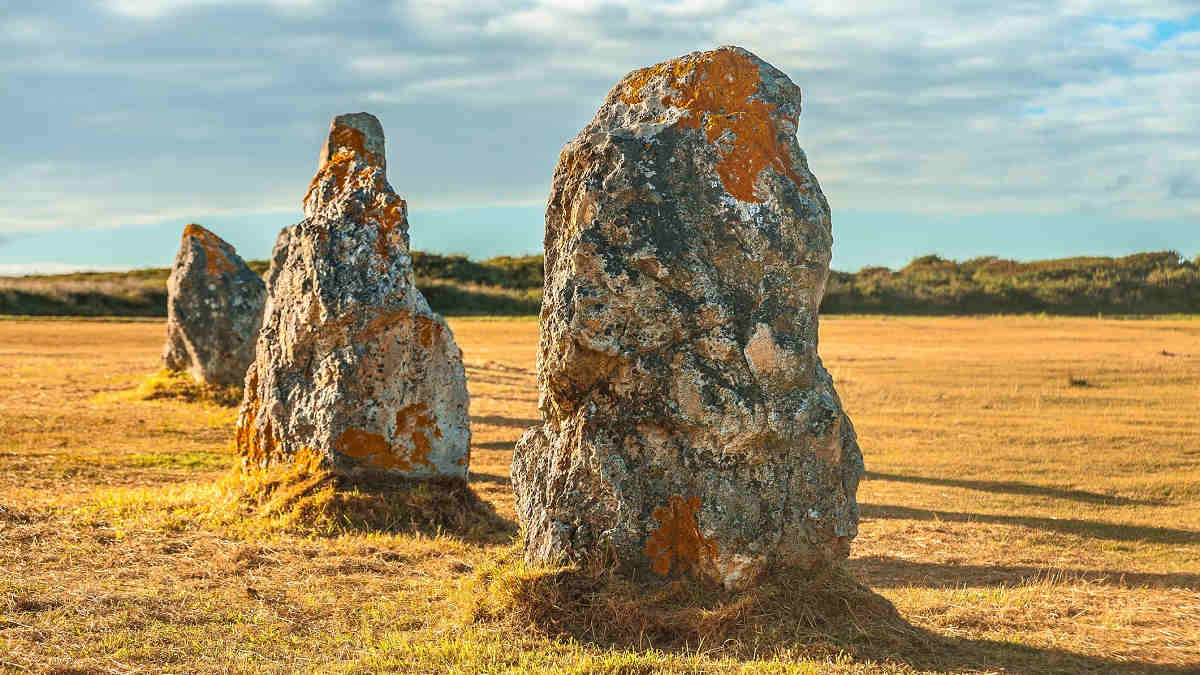 Neolithic Community’s Family Tree Reveals “founding Father”