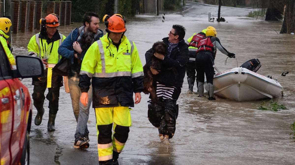 NZ floods show animal-inclusive disaster planning matters