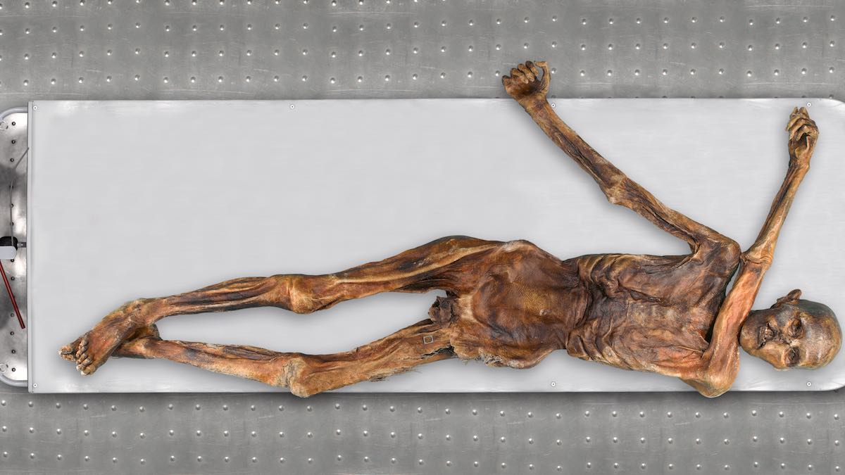 Genomic Analysis Reveals New Appearance And Ancestry For Neolithic Iceman Tzi