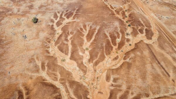 Aerial viewpoint looking down on the dramatic patterns of the dry river beds and cracked land of outback Queensland, Australia