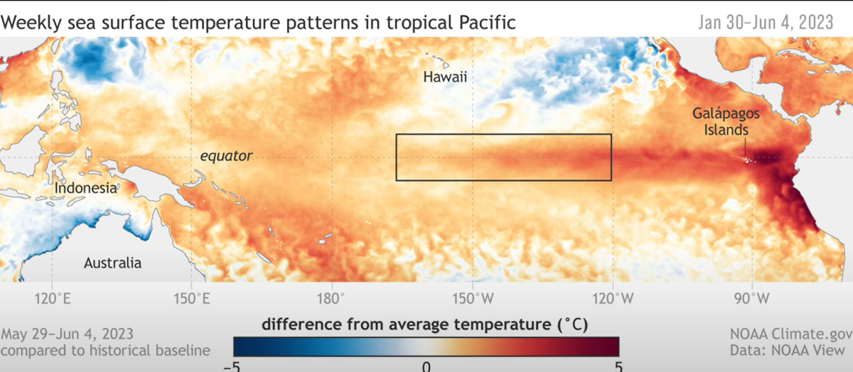 Why we wont have a super El Niño this year