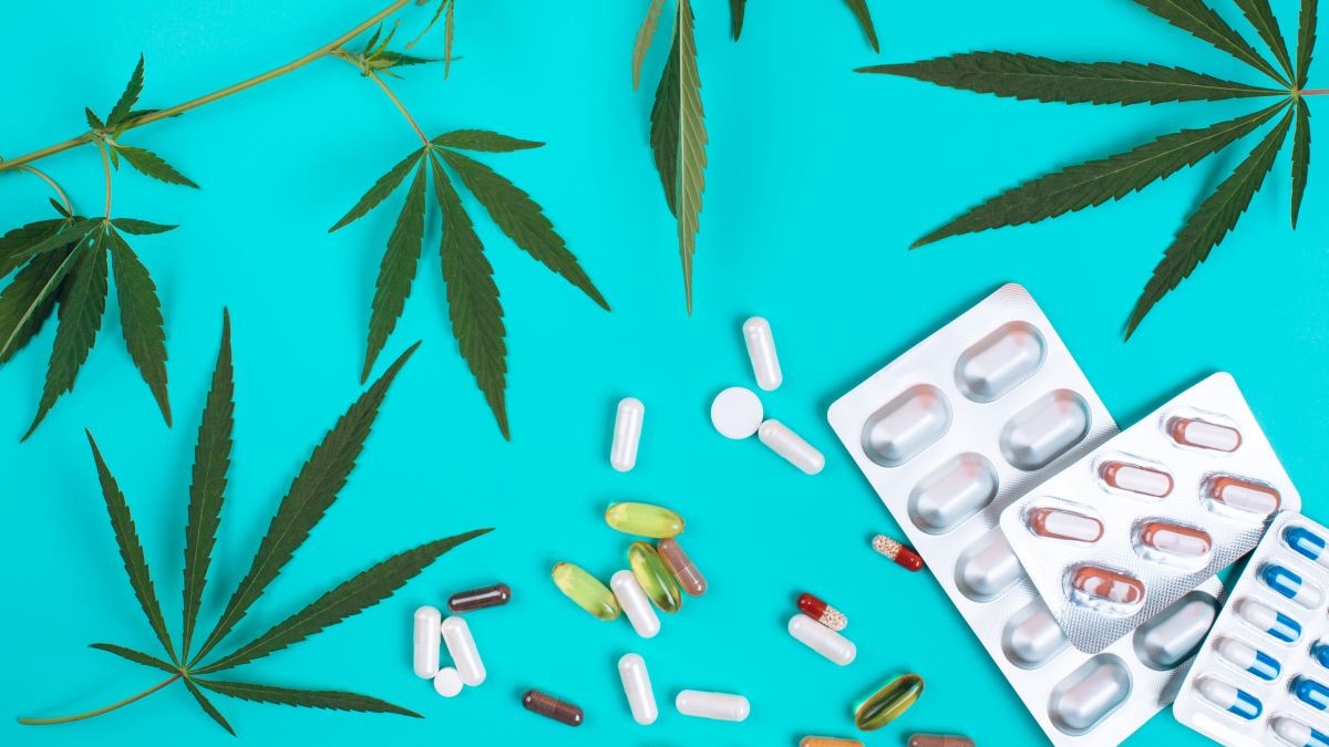 No evidence that cannabis use lowers opioid dependence