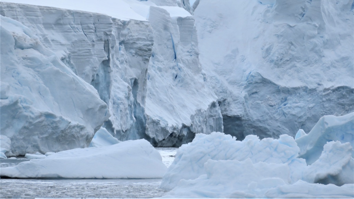 Funky Friday Iceberg