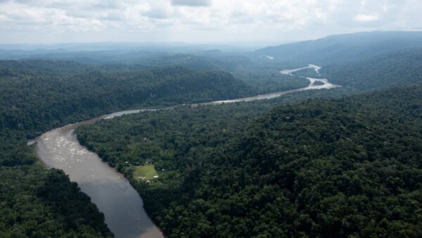 river in Amazonian rainforest