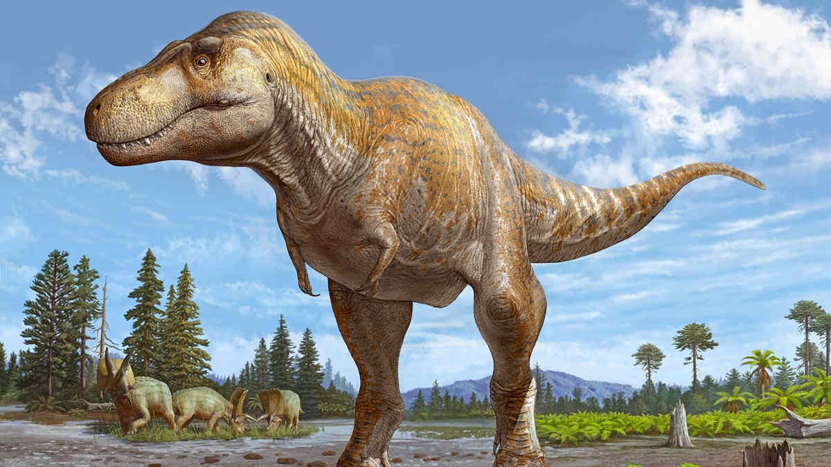 Closest Dinosaur Relative To T rex May Just Have Been Found closest-dinosaur-relative-to-t-rex-may-just-have-been-found