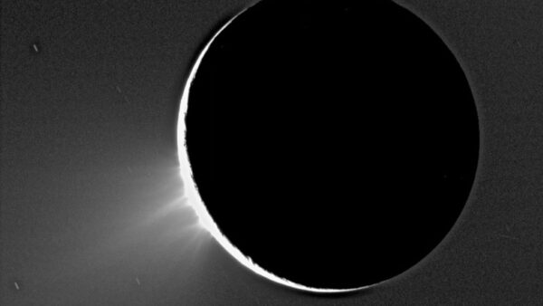 The fountains of Enceladus cropped