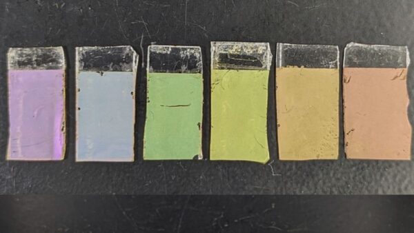 line of glass slides with coloured paint