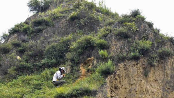 side of a hill archaeologist at site in china with grass