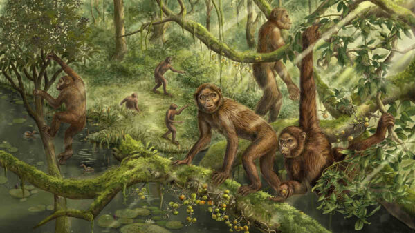 ancient ape in trees illustration
