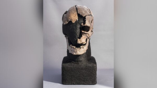 smashed ancient human skull