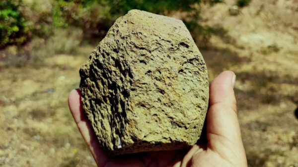 ancient human stone hand tool
