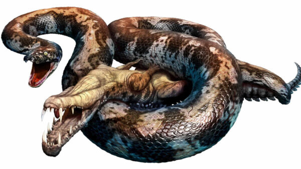 Prehistoric Titanoboa 3D illustration snake eating crocodile
