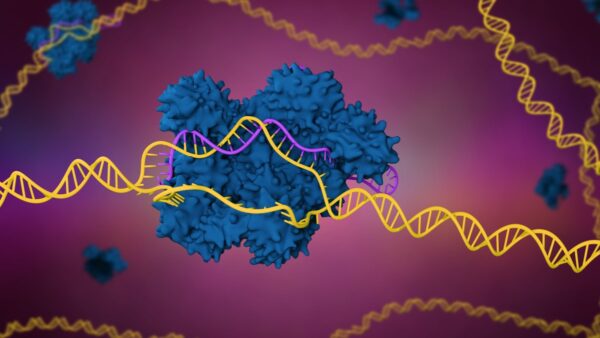 Computer generated image of a blue enzyme unravelling the yellow strands of a DNA double helix