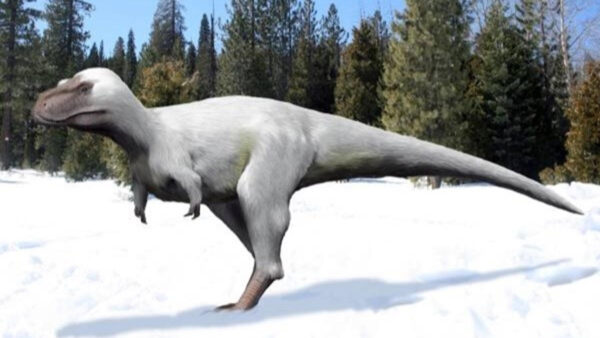 white t-rex like dinosaur in snow