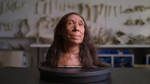 neanderthal head face reconstruction