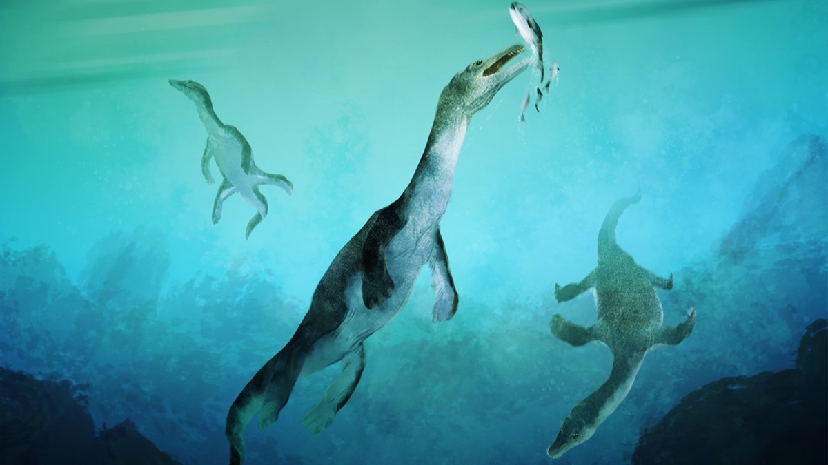 Ancient marine reptile from New Zealand is oldest found in southern ...