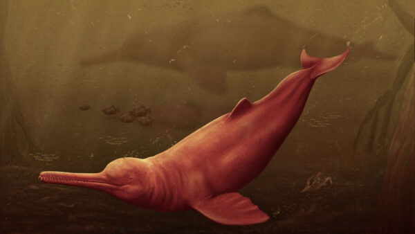 Artistic reconstruction of river dolphin in murky waters