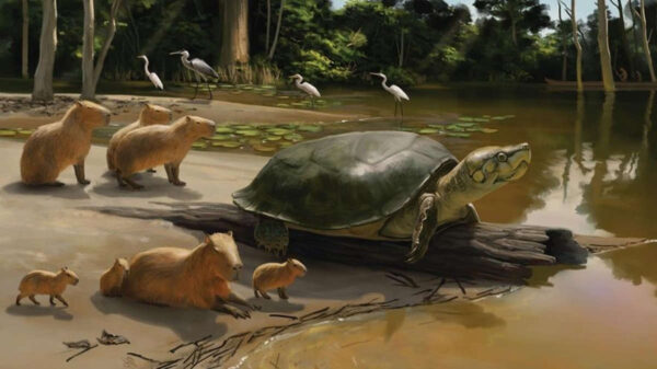 giant turtle artwork by river with capybara