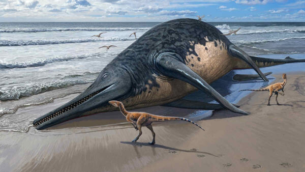 large marine reptile ichthyosaur on beach with small dinosaurs
