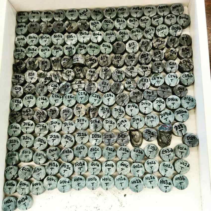 A photograph of dozens of small circular drill cores of rock of varying colour