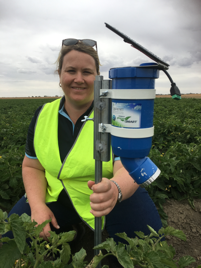 CSIROs Dr Rose Brodrick with an early prototype WaterWise sensor in tomatoes.JPG